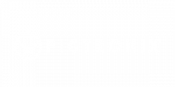 logo_pigtronix
